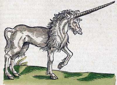единорог (unicorn)